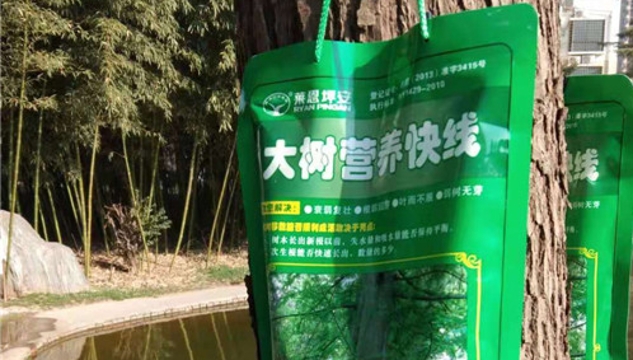 大樹(shù)“喝”上“營(yíng)養(yǎng)快線(xiàn)”